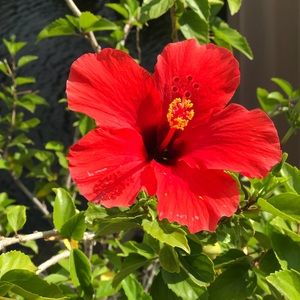 Meet your Posher, Marissa